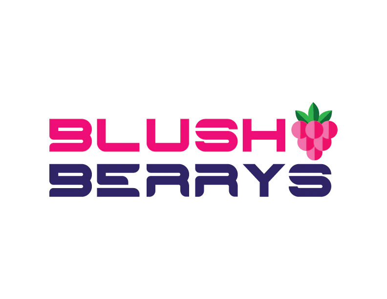 Better Baskets Logo